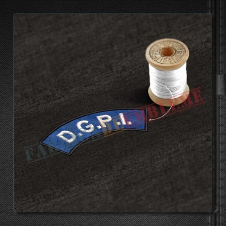 Ecuson DGPI (Directia Generala de Protectie Interna)