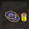 Emblema Depozitul Central de Arhiva GENERAL GRIGORE COSTANDACHE - PITESTI
