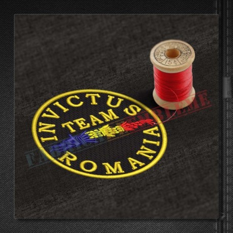 Emblema Invictus Team Romania