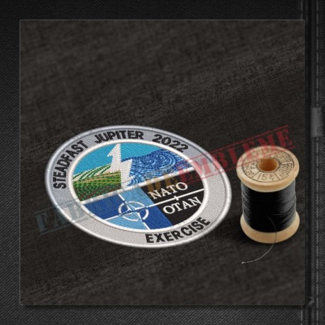 Emblema Exercitiul Steadfast Jupiter 2022