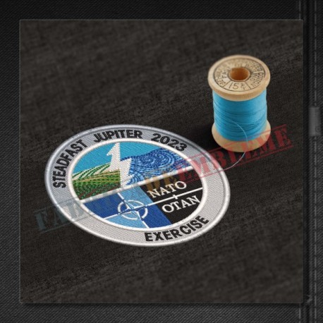 Emblema Exercitiul Steadfast Jupiter 2023