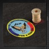 Emblema Patrula Aerofotogrammetrica de pe An-30 - Otopeni