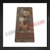 Grade militare maistru militar principal Forte Navale COMBAT FT