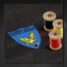 Emblema Detasamentul Special de Protectie si Interventie