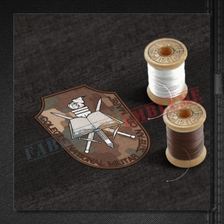 Emblema Colegiul National Militar STEFAN CEL MARE - Campulung Moldovenesc