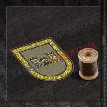Emblema Centrul de Domenii si Infrastructuri Nr. 5 - Iasi