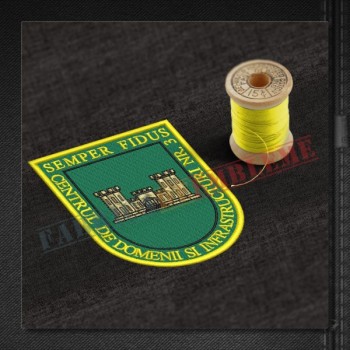 Emblema Centrul de Domenii si Infrastructuri Nr. 3 - Sibiu