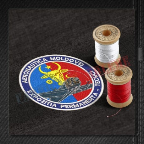 Emblema Aeronautica Moldovei - Expozitie permanenta - Tecuci