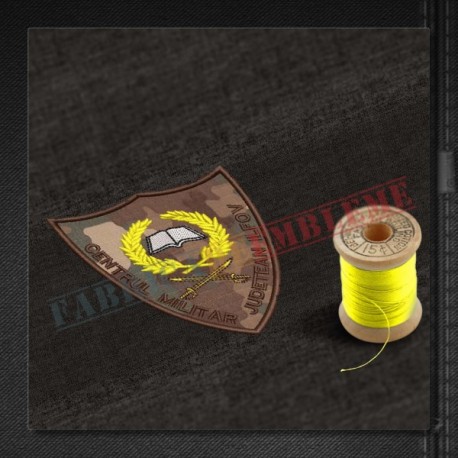 Emblema Centrul Militar Judetean Ilfov