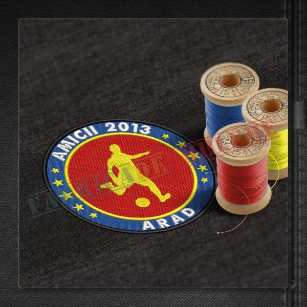 Emblema Amicii 2013 Arad