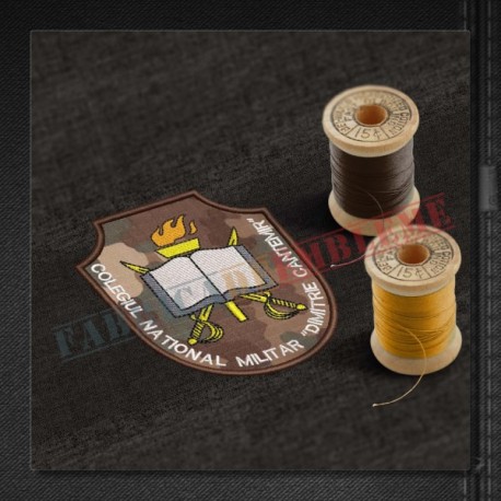 Emblema Colegiul National Militar DIMITRIE CANTEMIR