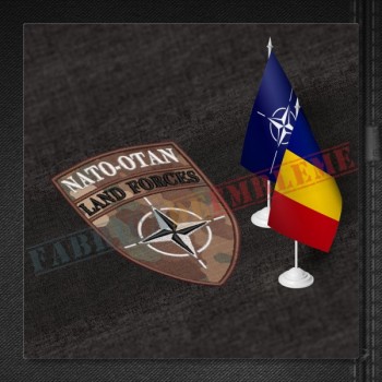 NATO Land Forces - COMBAT Romania