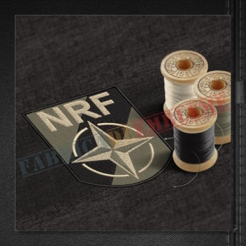 Emblema NRF (NATO Response Force - Forta de Reactie Rapida a NATO)