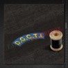 Ecuson Directia Generala pentru Comunicatii si Tehnologia Informatiei