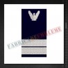 Grade militare Plutonier IGAv