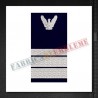 Grade militare Plutonier major IGAv