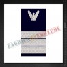 Grade militare Plutonier adjutant IGAv
