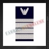 Grade militare Plutonier adjutant sef IGAv