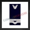 Grade militare Maistru militar clasa a IV-a IGAv