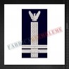 Grade militare locotenent-colonel IGAv