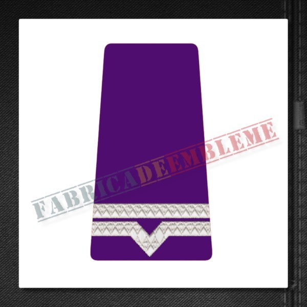 Grade Maistru militar clasa a IV-a - Forte Terestre