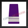 Grade Sergent major - Forte Terestre