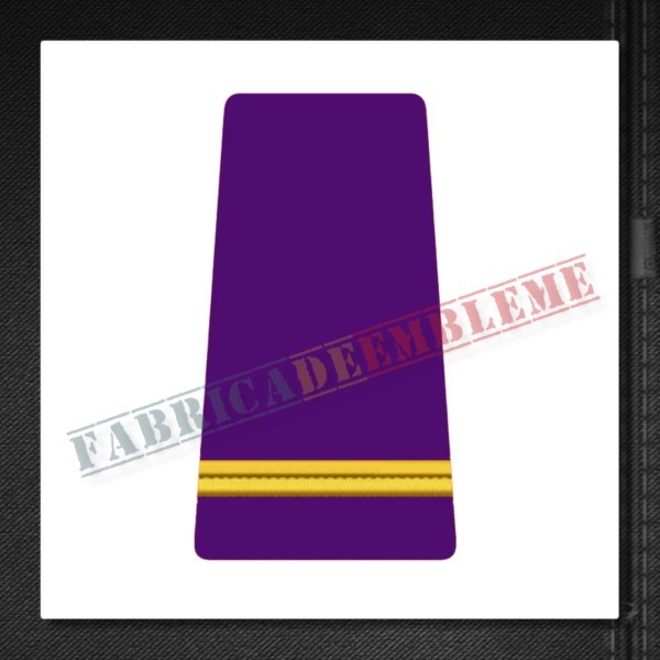 Grade Sublocotenent - Forte Terestre