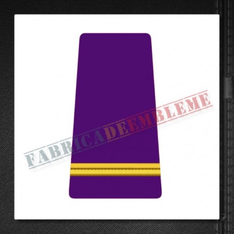 Grade Sublocotenent - Forte Terestre