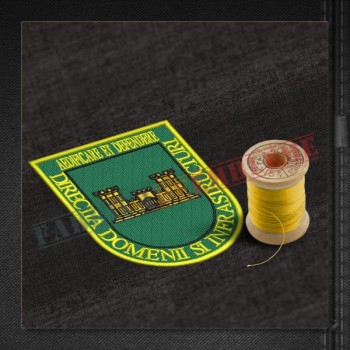 Emblema Directia Domenii si Infrastructuri