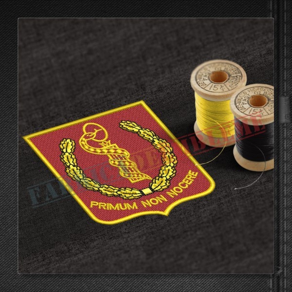 Emblema Directia Medicala