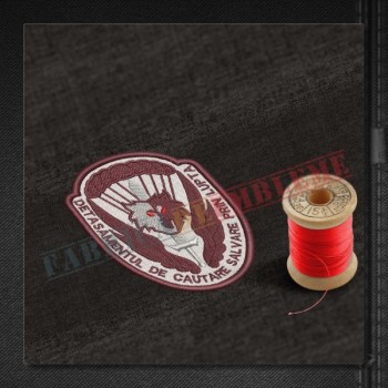 Emblema Detasamentul de Cautare Salvare prin Lupta