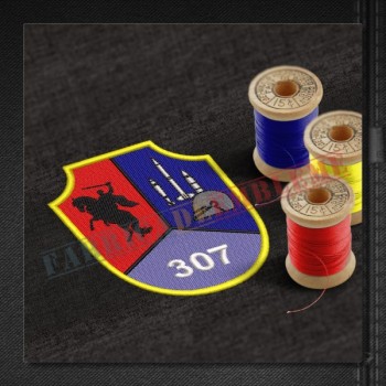 Emblema Depozitul Central 307 Munitii TARA HATEGULUI - Hateg
