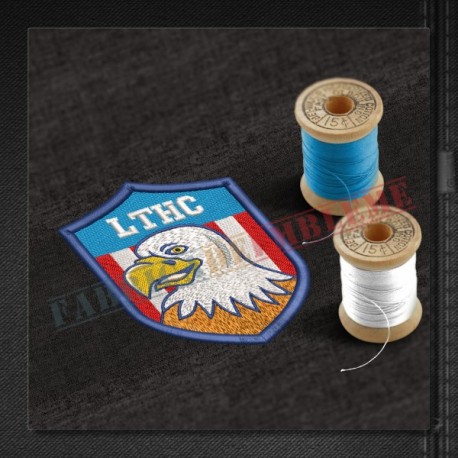 Emblema Liceul Tehnologic HENRI COANDA - Tulcea