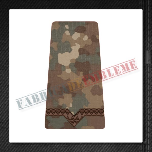 Grade maistru militar clasa a V-a - Forte Terestre si Forte Aeriene COMBAT
