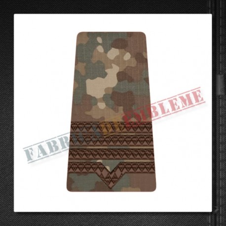 Grade maistru militar clasa a II-a - Forte Terestre si Forte Aeriene COMBAT
