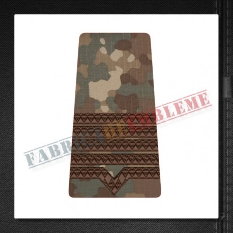 Grade maistru militar clasa I - Forte Terestre si Forte Aeriene COMBAT