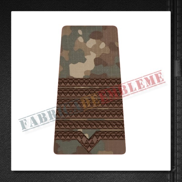 Grade maistru militar principal - Forte Terestre si Forte Aeriene COMBAT