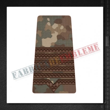 Grade maistru militar principal - Forte Terestre si Forte Aeriene COMBAT