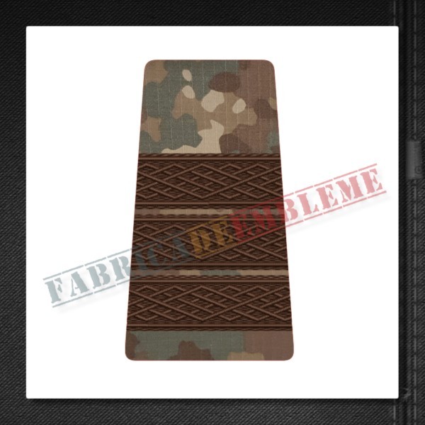 Grade plutonier adjutant - Forte Terestre si Forte Aeriene COMBAT