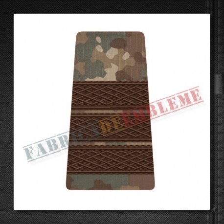 Grade plutonier adjutant - Forte Terestre si Forte Aeriene COMBAT