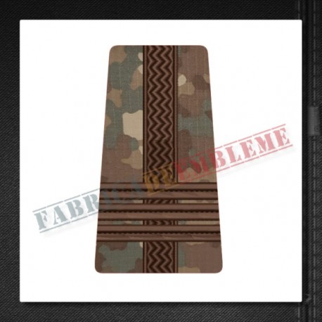 Grade colonel - Forte Terestre si Forte Aeriene COMBAT