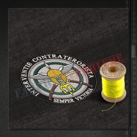 Emblema Interventie contraterorista