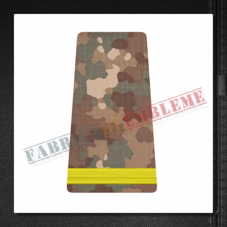 Grade militare elev negradat - Forte Terestre COMBAT