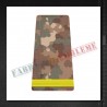 Grade militare elev negradat - Forte Terestre COMBAT