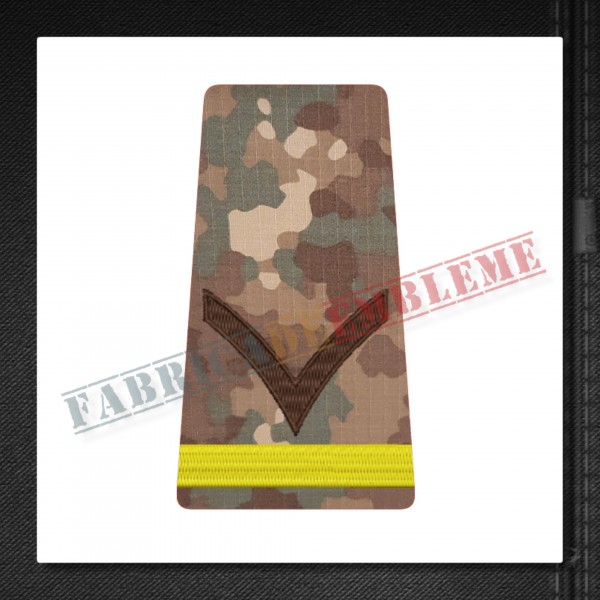 Grade militare fruntas elev - Forte Terestre COMBAT
