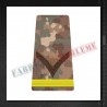 Grade militare fruntas elev - Forte Terestre COMBAT