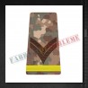 Grade militare caporal elev - Forte Terestre COMBAT