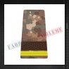 Grade militare sergent elev - Forte Terestre COMBAT