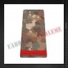 Grade militare soldat student - Forte Terestre COMBAT