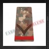 Grade militare fruntas student - Forte Terestre COMBAT